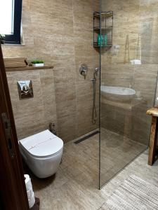 a bathroom with a toilet and a glass shower at Meris in Ulcinj
