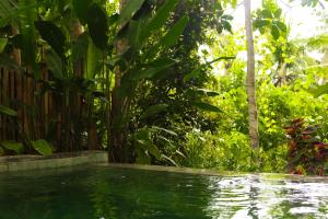 a pool of water in a garden with plants at Exotic private glamping in Nusa Penida