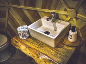 a bathroom sink on a wooden counter with a toilet at Lodge Domos Awen in Pucón