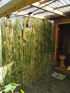 a bamboo fence with plants on the side of a house at Puñañas descanso y experiencias in Vilcún