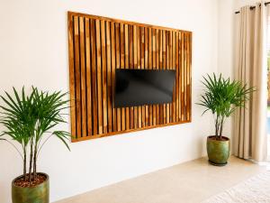 two potted plants sitting next to a television on a wall at Oh'lala Pool Cottages in Ban Tai +9 photos
