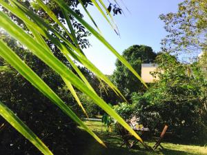 Hotel Casa Maya Calakmul外面的花园