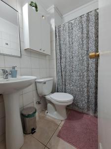 a bathroom with a toilet and a sink and a shower at Acogedor y amplio departamento central in Temuco +11 photos