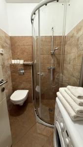 a bathroom with a shower and a toilet at Harmonia Apart Hotel in Boreti +11 photos