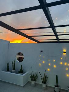 a room with a ceiling with lights and plants at wawa homestay in Butterworth
