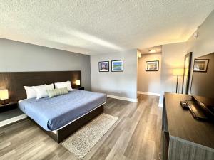a bedroom with a bed and a desk in it at O'Hare Inn & Suites in Schiller Park