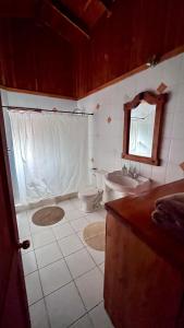a bathroom with a toilet and a sink at Jazz House Pucon in Pucón +11 photos