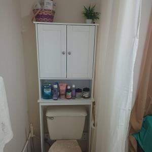a bathroom with a toilet with a cabinet above it at T & H Oasis in Kingstown