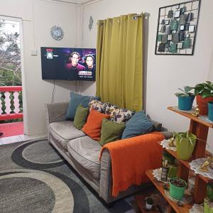 a living room with a couch and a tv at T & H Oasis in Kingstown