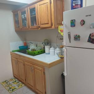 a kitchen with a sink and a refrigerator at T & H Oasis in Kingstown