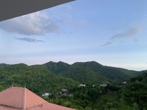 a view of a mountain range with a red roof at La Marlyse in La Vatable +3 photos