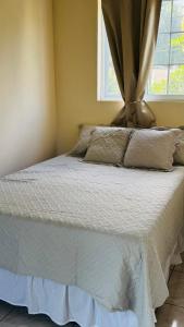 a bedroom with a large bed with a window at Hostal Casa Maros in Tamanique