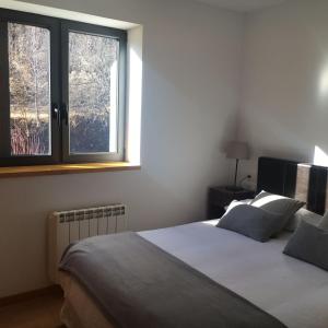 バレンシア・デ・アヌーにあるApartament Hug Rogerのベッドルーム1室(枕2つ、窓付)