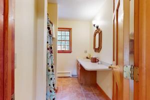 a bathroom with a sink and a mirror at Green Mountain Sunrise in Dover +49 photos