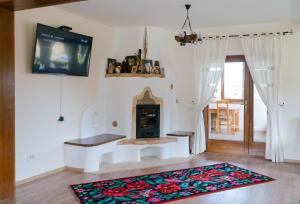 Una sala de estar con chimenea y televisión. en Zestrea Bunicilor, en Bodeşti
