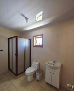 a bathroom with a toilet and a sink at Cabaña Queule Costero in Queule