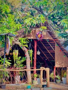 a straw hut with plants in front of it at M D Travel Agent in Dambulla