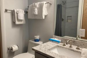 a bathroom with a sink and a toilet and a mirror at 515 Cache in Jackson +49 photos