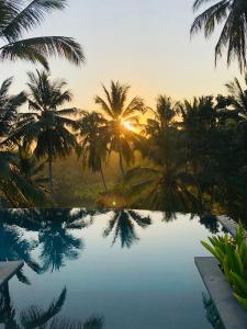 a view of a pool with palm trees and the sunset at Villa Palem in Tabanan +81 photos
