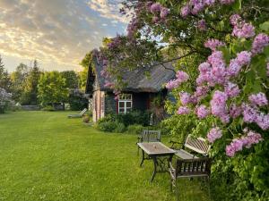 a house with a bench and a tree with pink flowers at Matsi cottage in Igaküla