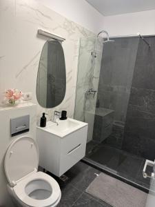 a bathroom with a shower and a toilet and a sink at Luxury & Spacious Studio - Navodari in Năvodari