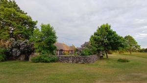 a stone house with a stone wall and trees at Matsi cottage in Igaküla