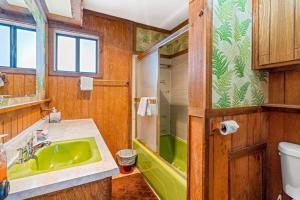 a bathroom with a green sink and a shower at The Better House in Vallecito +47 photos