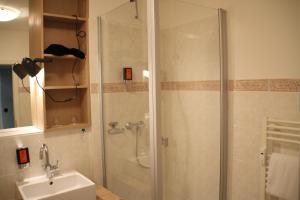 a bathroom with a shower and a sink at Junior-Suite am See in Ascheberg +8 photos