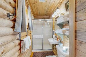 a bathroom with a shower and a toilet and a sink at Grand Lake Cabin Escape in Grand Lake +25 photos