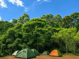 a group of tents in front of trees at Eco Camping Resort Ella in Bandarawela