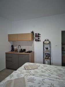 a kitchen with a bed in a room with a sink at Studio apartman Fabi in Novigrad Istria +8 photos