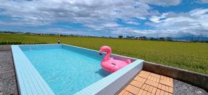 a pink toy flamingo sitting in a swimming pool at Xin Young Villa in Zhuangwei