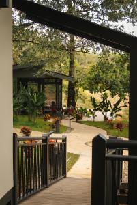 a view of a garden from a porch at Nuakú Jungle in Aguas Zarcas