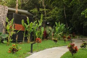 a garden with plants and a house in the background at Nuakú Jungle in Aguas Zarcas