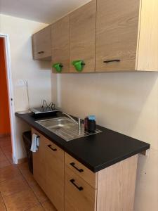 a kitchen with a sink and a counter top at Orwsnoch in Mielno
