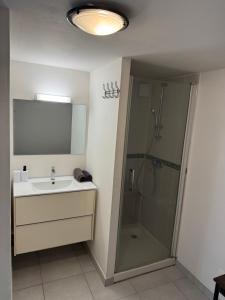 a bathroom with a sink and a shower at Résidence Villa Landes in Gien