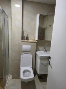 a bathroom with a toilet and a sink and a shower at A&A Apartment in Šušanj