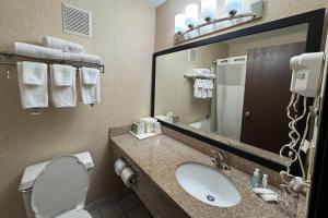 a bathroom with a sink and a toilet and a mirror at Quality Inn Forsyth Decatur in Forsyth +32 photos