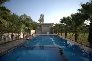 a large swimming pool with palm trees around it at Amarvilas Hotel & Resort in Bharatpur