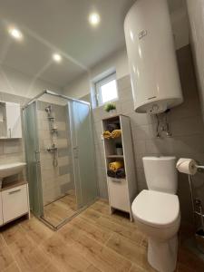 a bathroom with a toilet and a shower and a sink at Gellénia in Balatonberény +3 photos
