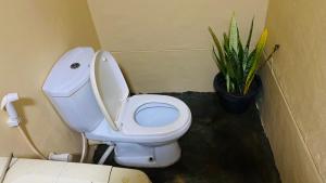 a white toilet in a bathroom with a plant at JA Villa in Pottuvil