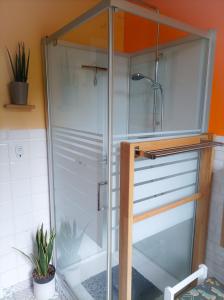 a shower with a glass enclosure in a bathroom at La Note Verte - Parking gratuit devant l'entrée in Foix +31 photos