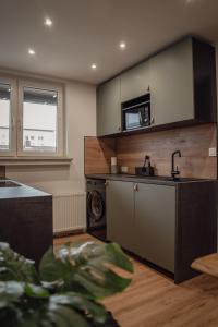 a kitchen with a sink and a washing machine at Apartment Claussen 1 in Bremerhaven