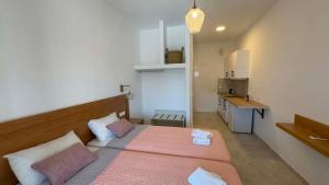 una piccola stanza con un letto e una cucina di Villa Sofia ad Acharavi