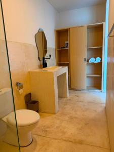 a bathroom with a toilet and a sink at Volcano Bliss Villa Kintamani in Kintamani +60 photos