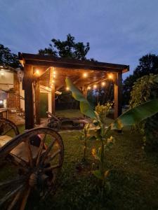 a small cabin with lights on it in the yard at Vila Sava in Jarak