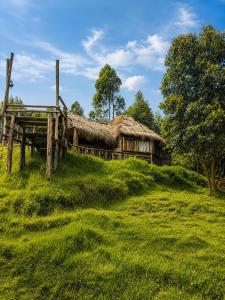an old house with a grass roof on a hill at Sholanest Mud House and Farm Stay in Vattavada Near Munnar in Vattavada