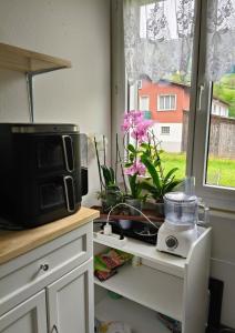 a kitchen counter with a microwave and flowers on a shelf at Flumserberg pur, Auszeit am Walensee in Flums +13 photos