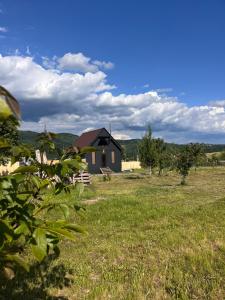 a small house in the middle of a field at Мисливський Дворик in Solochyn
