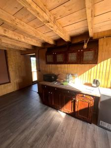 a kitchen with wooden walls and a wooden floor at Мисливський Дворик in Solochyn +15 photos